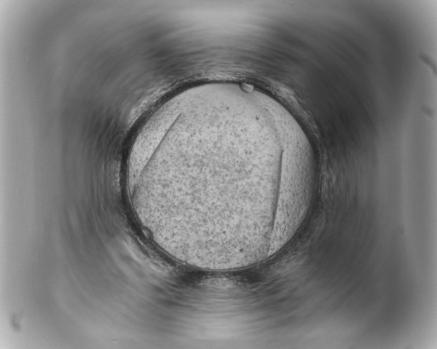 X0000101650299200807311419
