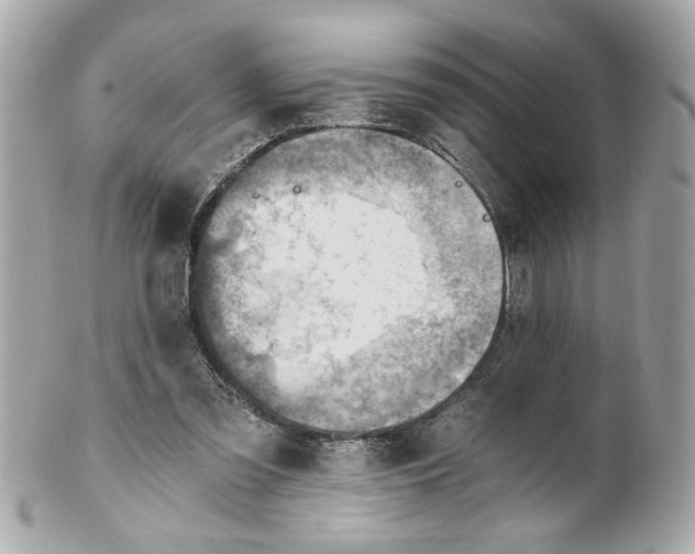 X0000101650301200807311419