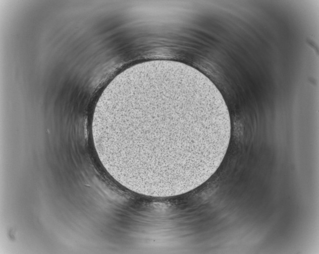 X0000101650302200807311419