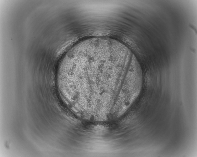 X0000101650303200807311419