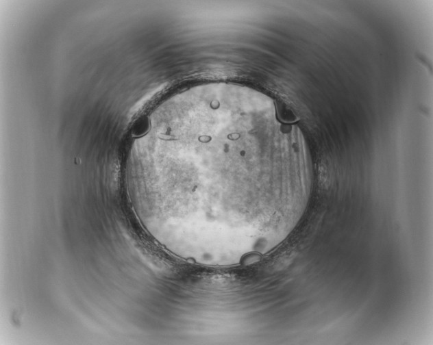 X0000101650304200807311419