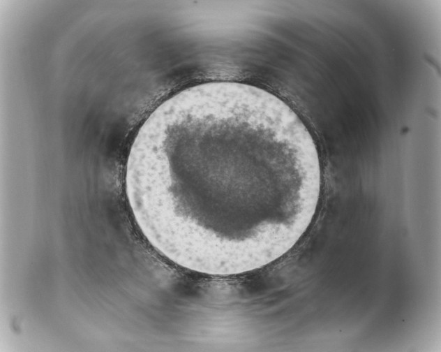 X0000101650305200807311419