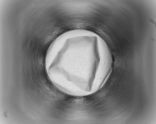 X0000101650306200807311419