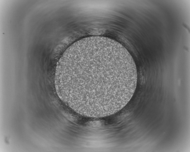 X0000101650307200807311419