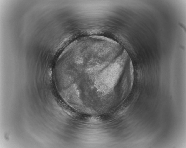 X0000101650308200807311419