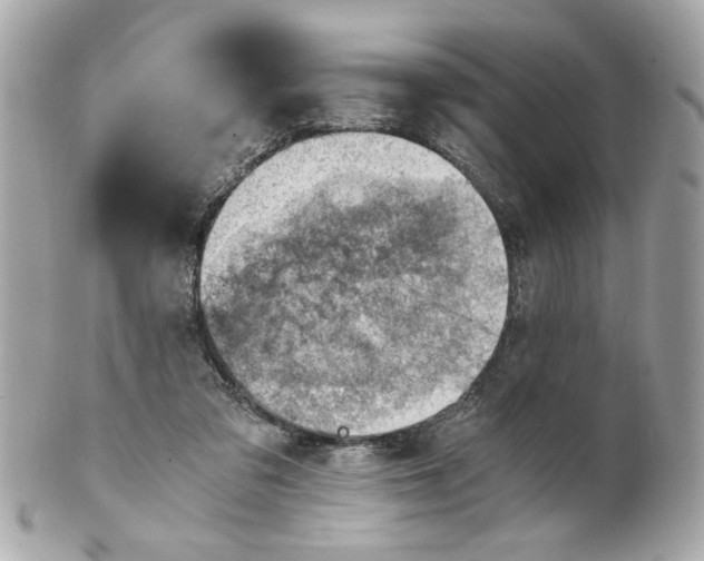 X0000101650309200807311419