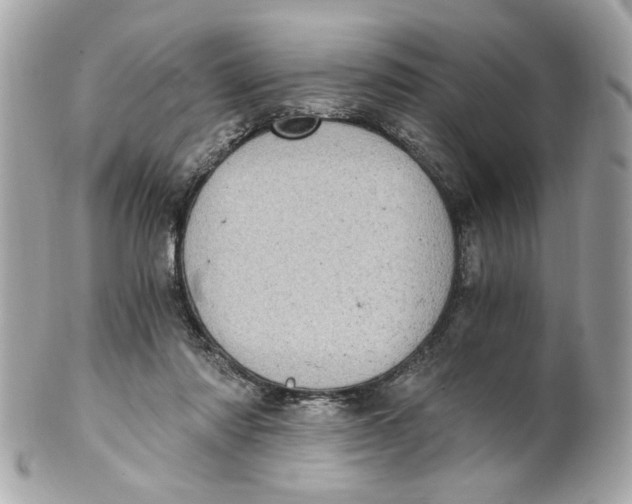 X0000101650310200807311419