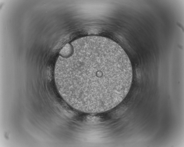 X0000101650311200807311419