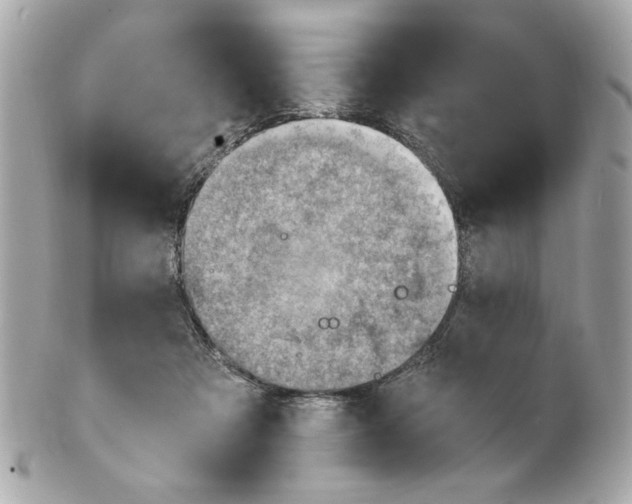 X0000101650313200807311419