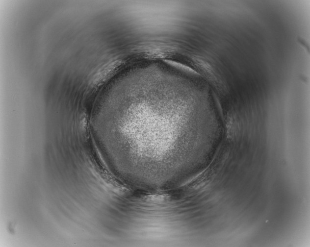 X0000101650314200807311419
