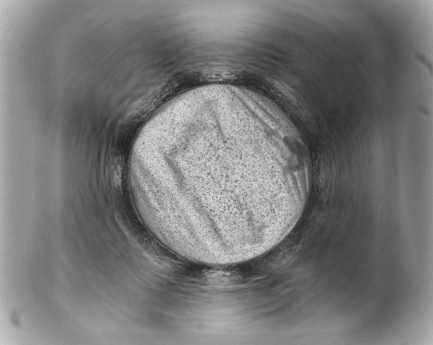 X0000101650315200807311419