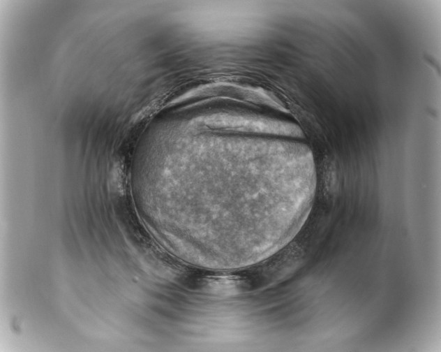 X0000101650316200807311419