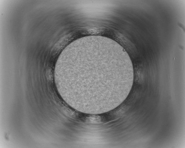 X0000101650317200807311419