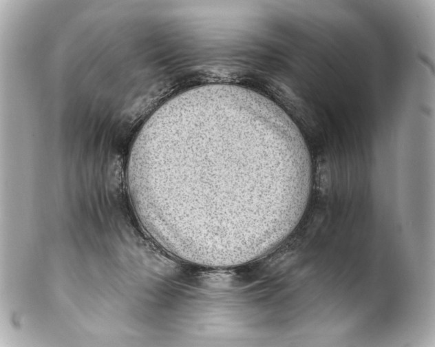 X0000101650318200807311419