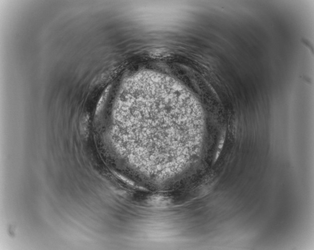 X0000101650319200807311419
