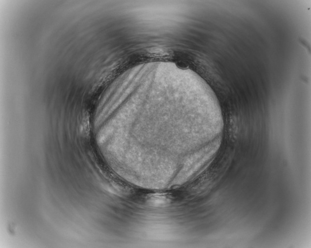 X0000101650320200807311419