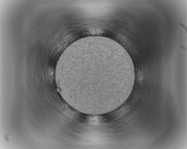 X0000101650321200807311419