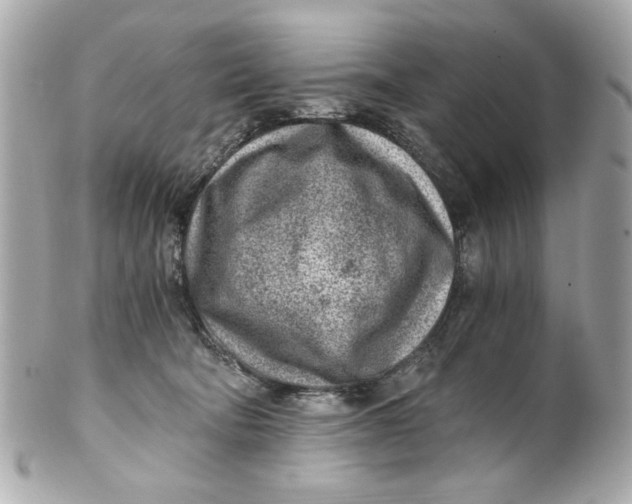 X0000101650322200807311419