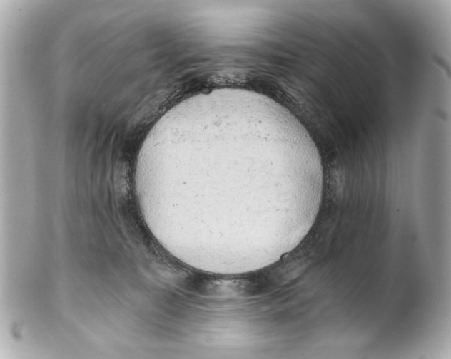 X0000101650323200807311419