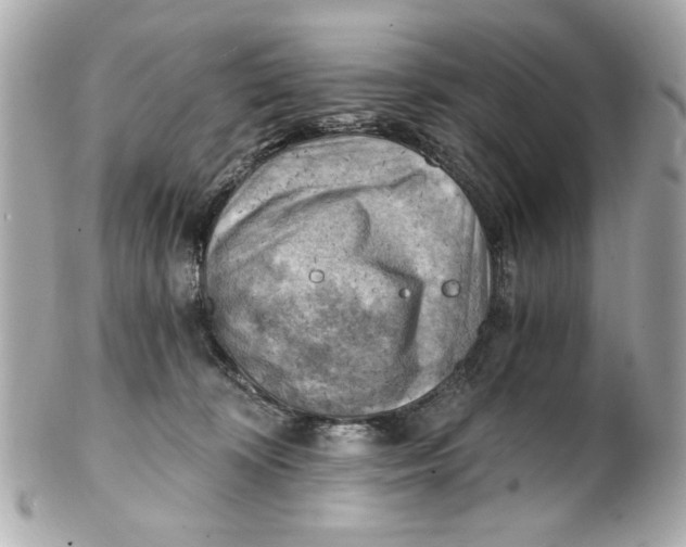 X0000101650324200807311419