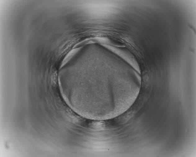 X0000101650325200807311419
