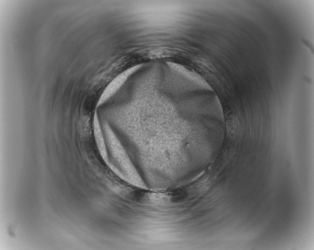 X0000101650327200807311419