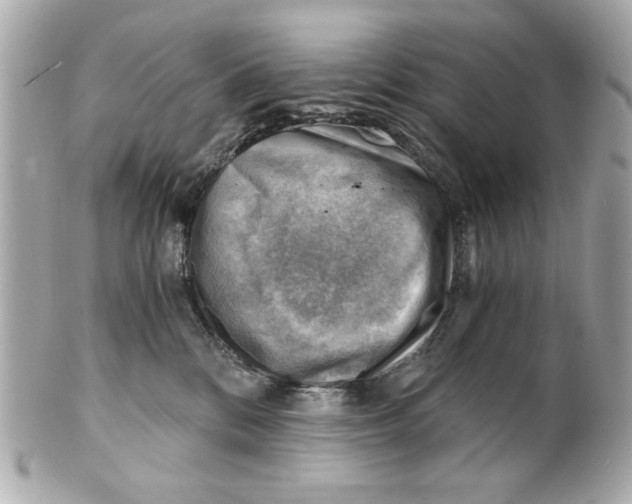 X0000101650328200807311419