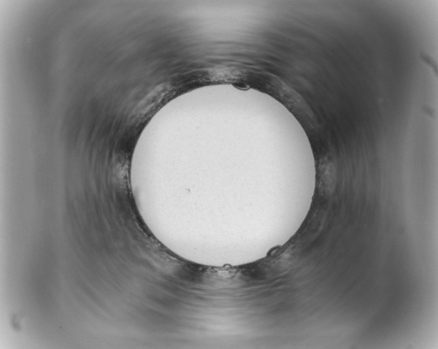 X0000101650329200807311419
