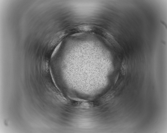 X0000101650330200807311419