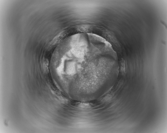 X0000101650332200807311419