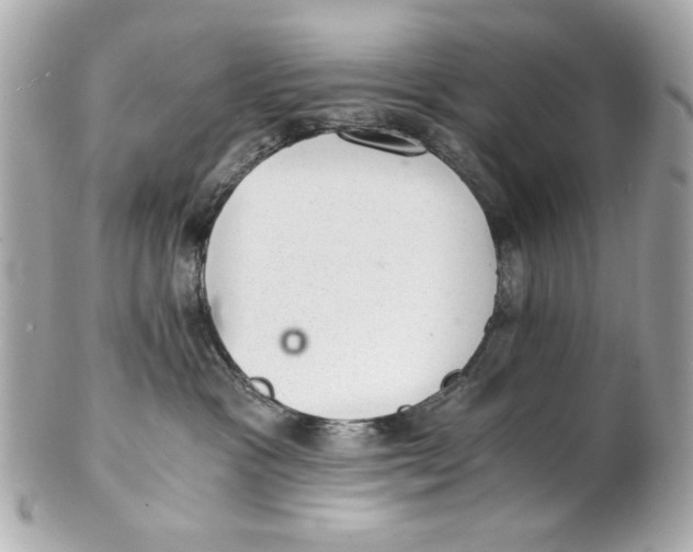 X0000101650333200807311419