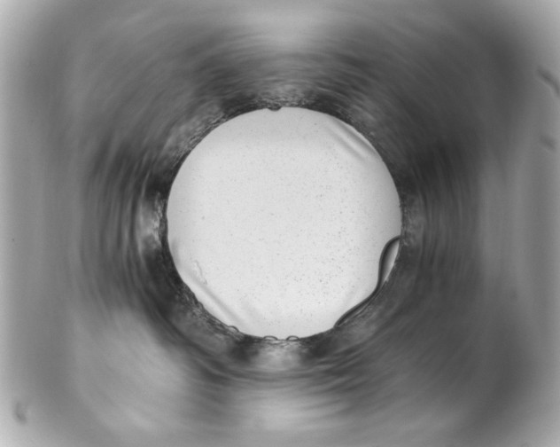 X0000101650334200807311418