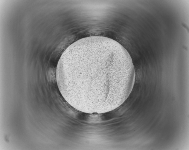 X0000101650335200807311418