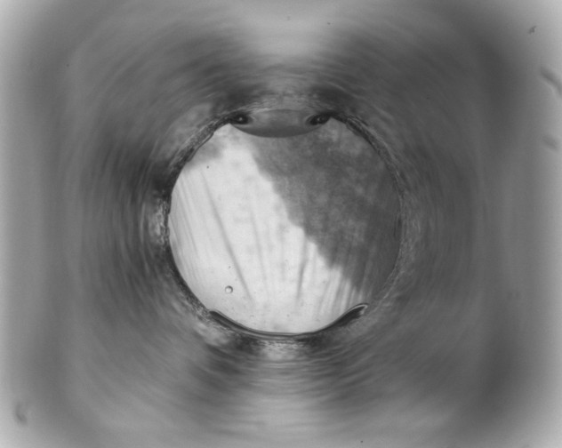 X0000101650336200807311418