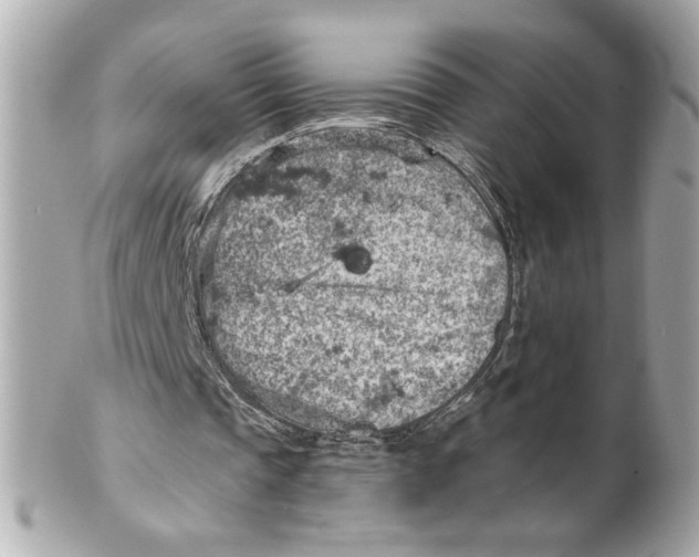 X0000101650337200807311418
