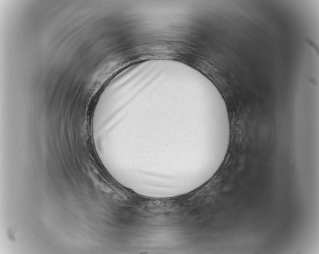 X0000101650338200807311418