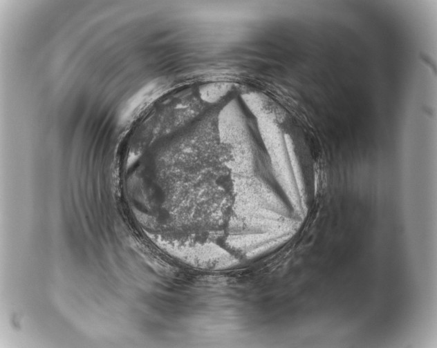 X0000101650339200807311418