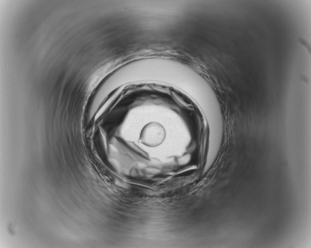 X0000101650340200807311418