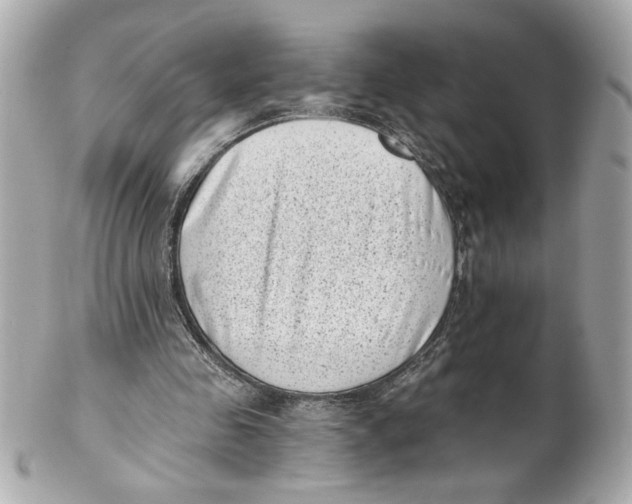 X0000101650341200807311418
