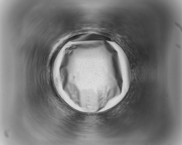 X0000101650342200807311418