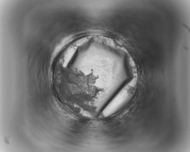 X0000101650343200807311418