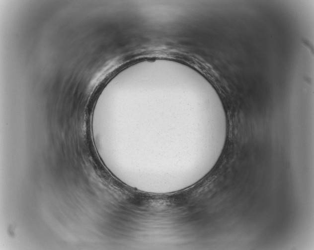 X0000101650344200807311418