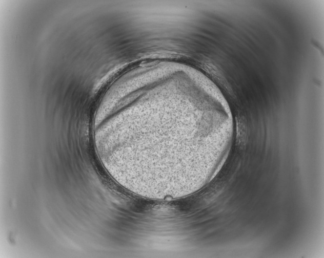 X0000101650348200807311418