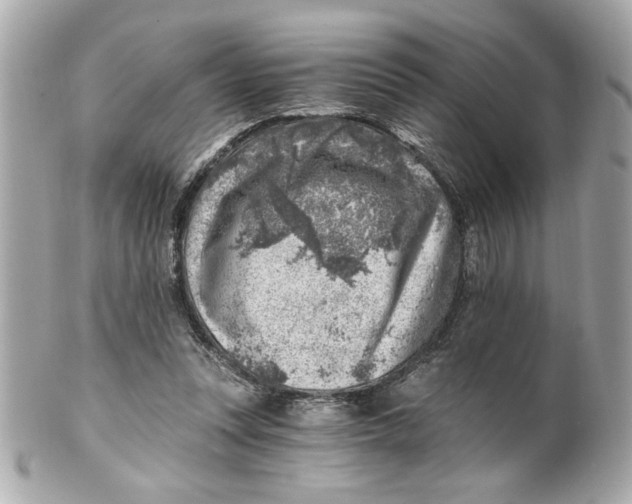 X0000101650351200807311418