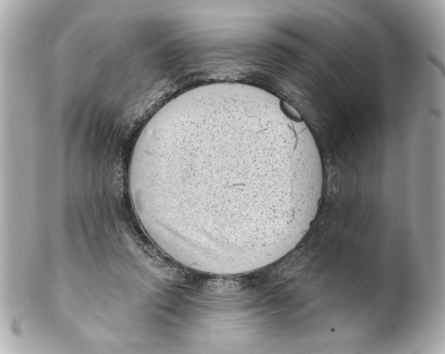 X0000101650354200807311418