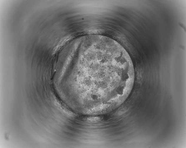 X0000101650357200807311418