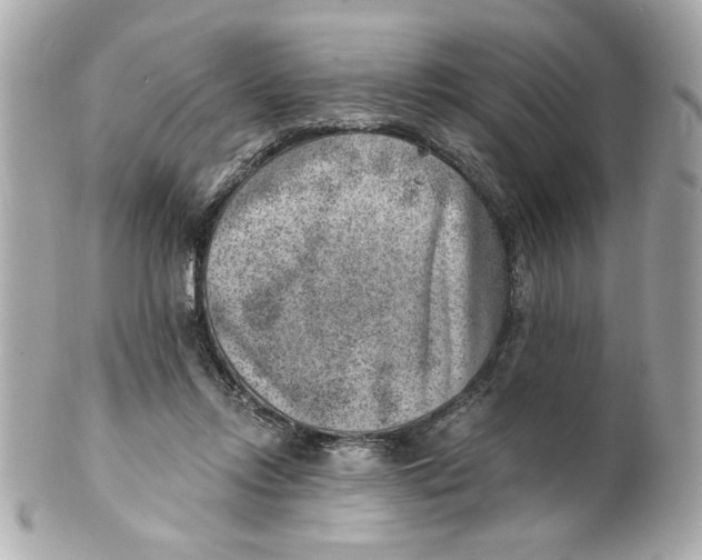X0000101650358200807311418