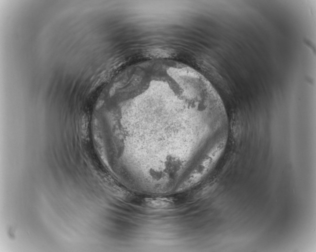 X0000101650359200807311418