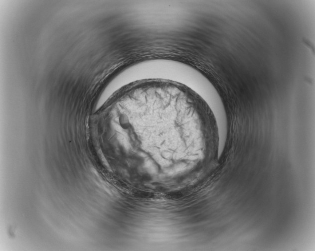 X0000101650360200807311418