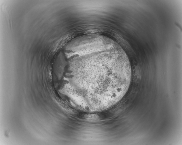 X0000101650361200807311418